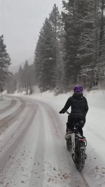 Hiboy EX6 Step-thru Fat Tire Electric Bike